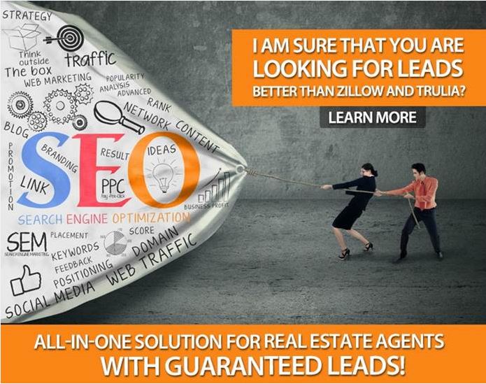 SEO Steve image